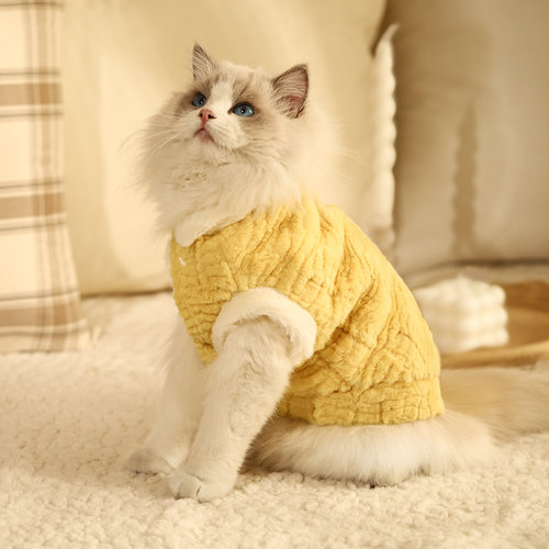 新品猫咪衣c服富贵兔毛马甲小猫春季保暖防风不掉毛秋春宠物猫狗