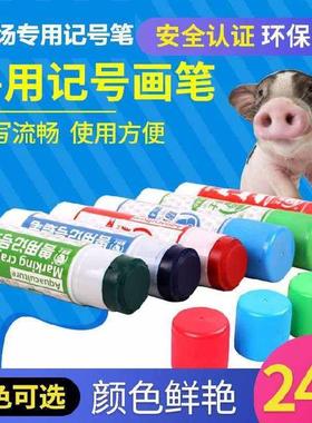 极速。彩色笔猪用记号笔大头大号特F大加粗粪板油性白色黑色器饮