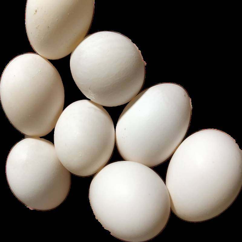 极速鹦鹉蛋受精可孵化玄凤黄化金彩D虎皮受精蛋种蛋鸟蛋人工手养,宠物/宠物食品及用品,鸟,淘宝优惠券,粉丝福利购,淘宝优惠卷