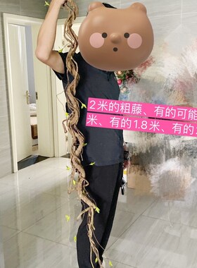 极速仿真树藤发泡枯树藤婚庆装z饰管道空调造景树枝柳树枝条藤条