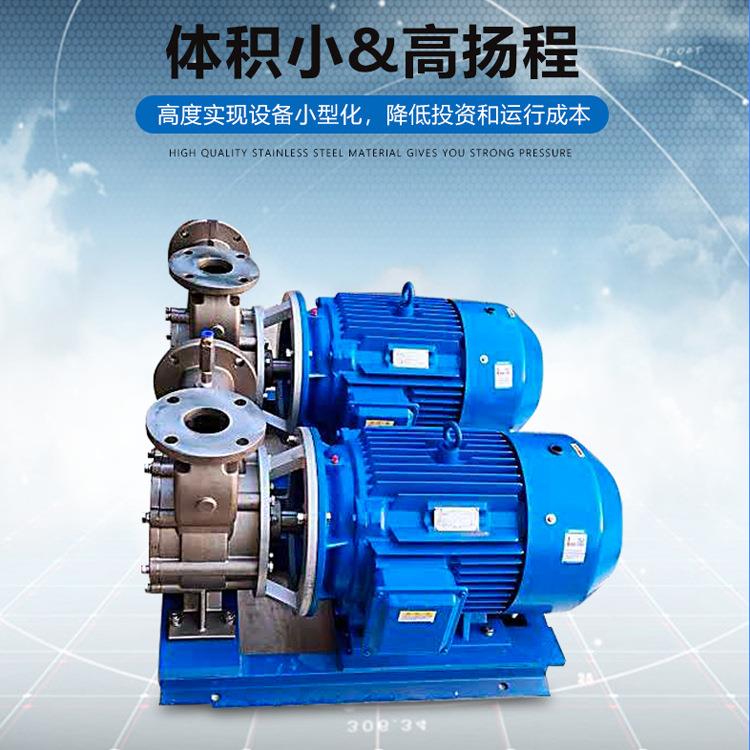 益顿厂家直销溶气泵碳氢清洗机用泵大流量不锈钢304气液混合泵