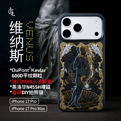 LLC适用苹果iPhone17ProMax黑维纳斯凯夫拉手机壳Magsafe磁吸超薄相机按键保护壳