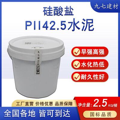 硅酸盐PII42.5水泥国标混凝土砂浆UHPC实验高强度延展灌浆料修补