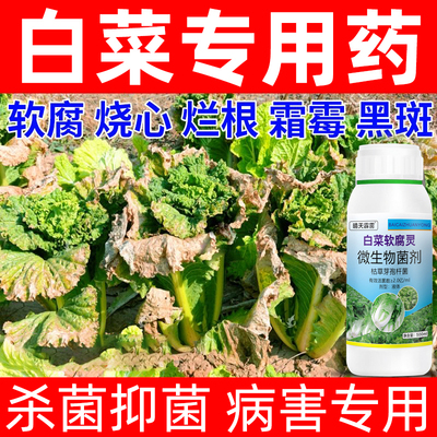 白菜专用药软腐灵治烂根黄