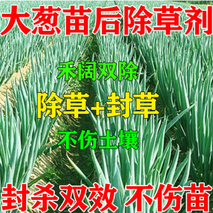 大葱苗后专用除草剂洋葱田地专用灭草农药大全禾阔双除烂根田易管