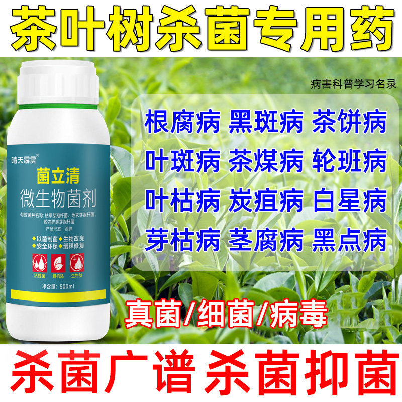茶树叶杀菌剂饼病赤霉黑点
