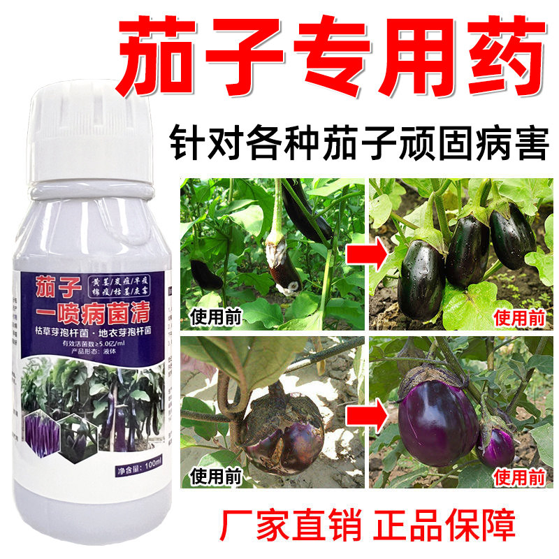茄子病专用药晚疫黄萎根腐
