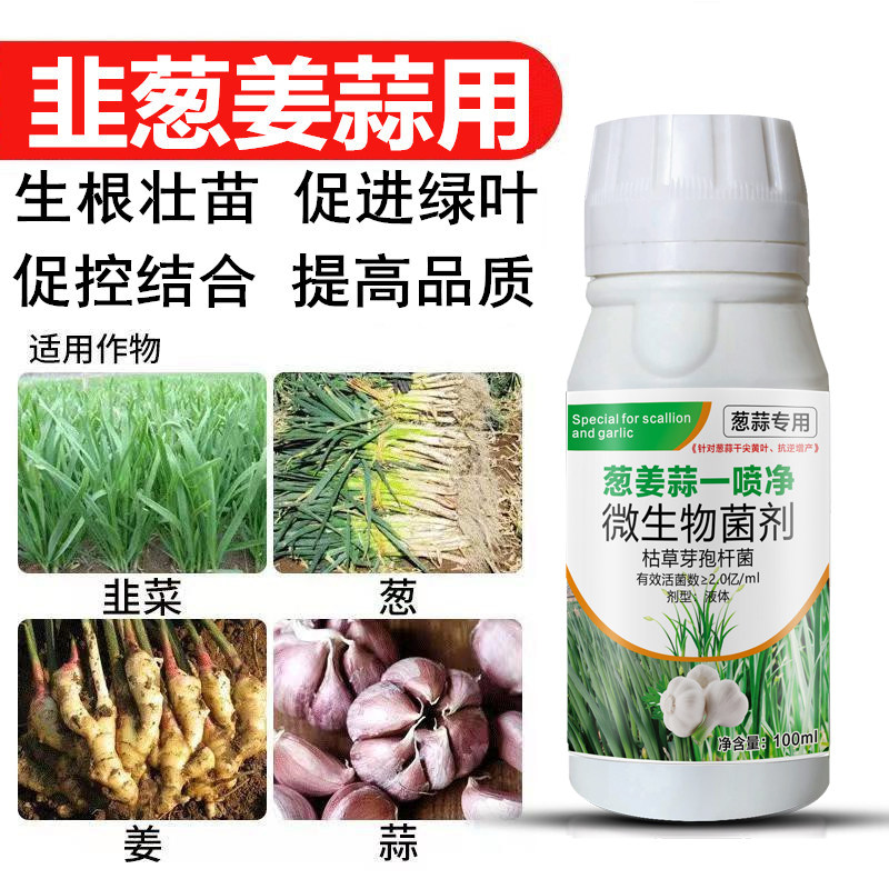大葱白斑病药专用防治点锈