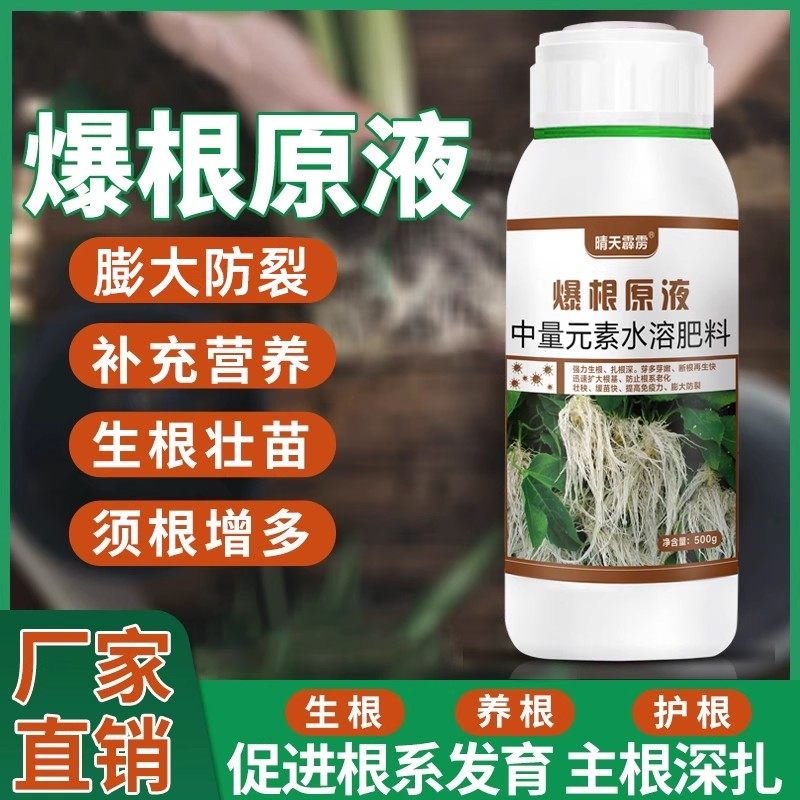 爆根原液生根壮苗剂生根