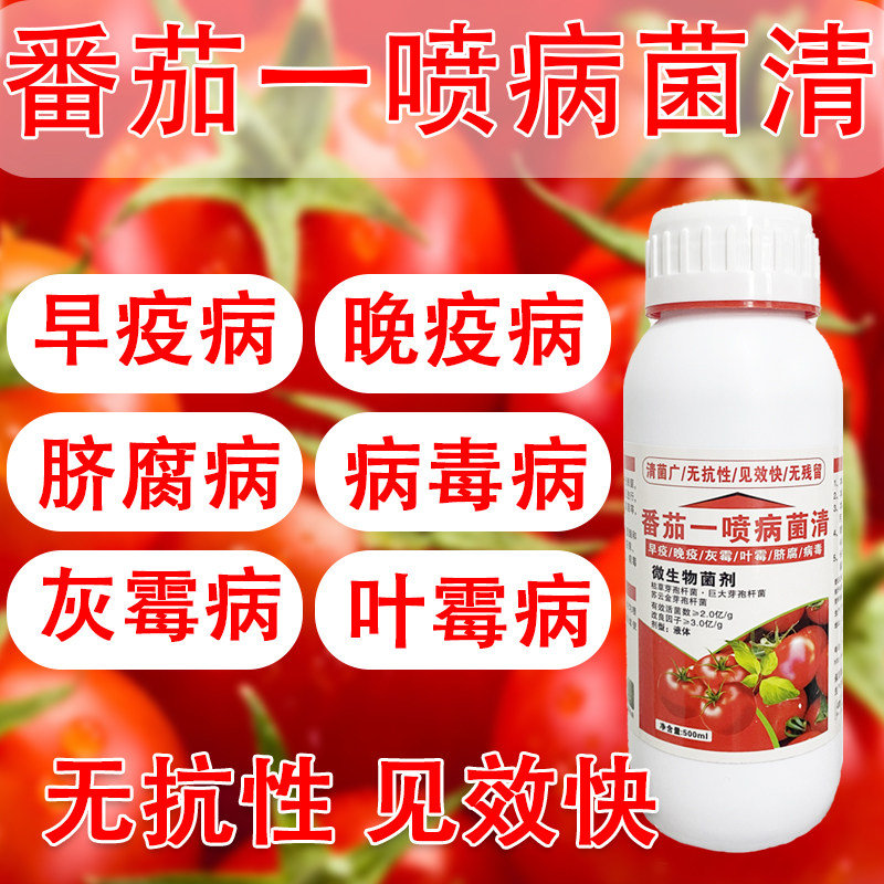 番茄专用药杀菌防治灰霉病