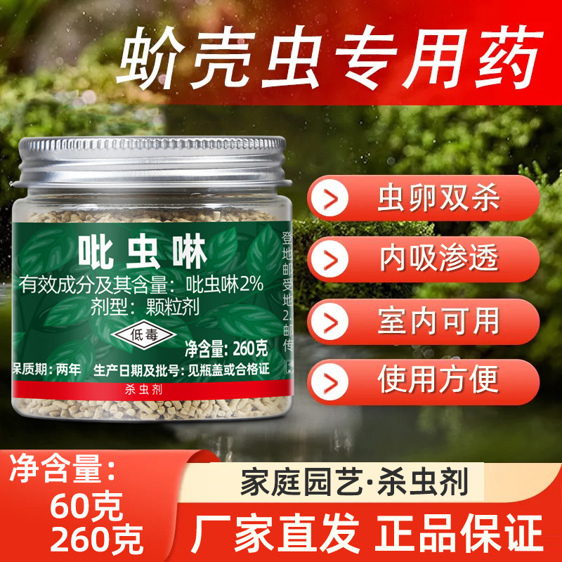 吡虫啉防颗粒剂多肉小白药
