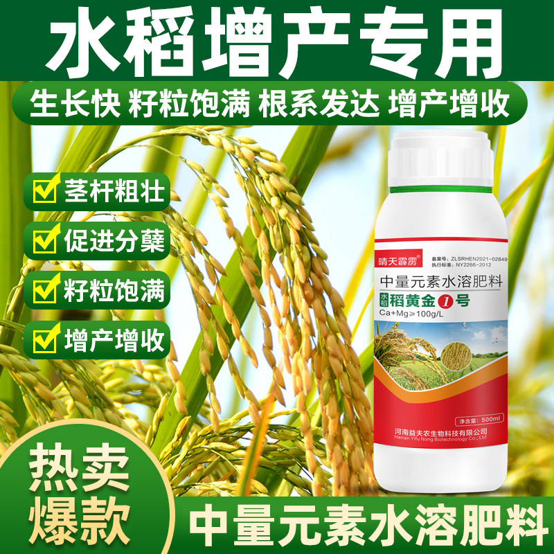 稻黄金水高产增收返青壮秧