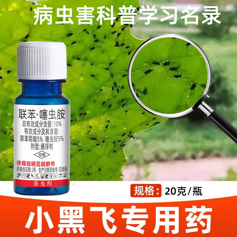 联苯噻虫胺果树潜蝇针蜂灭蝇药