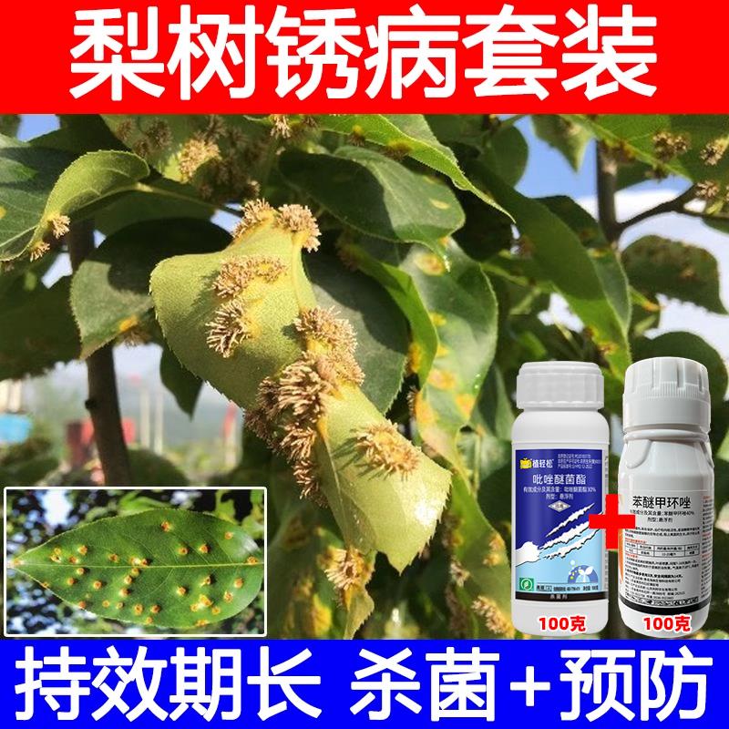 梨树锈病黑星专用药果豆角