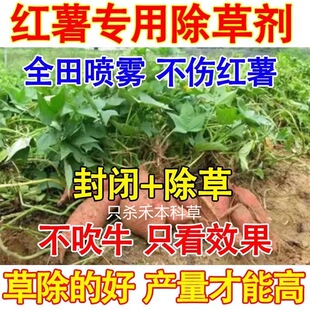 红薯专用除除草剂禾阔双除老牌子正品地瓜草除专用红薯苗后封闭