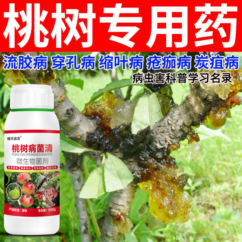 桃树流胶病专用流胶叶面肥杀菌剂桃树果树溃疡腐烂病流胶穿孔通用