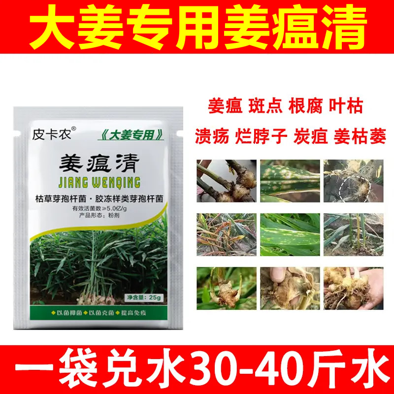 姜瘟净温灵干尖黄叶生杀菌