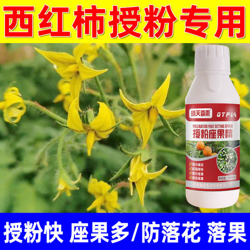 西红柿授粉座果灵快多催花