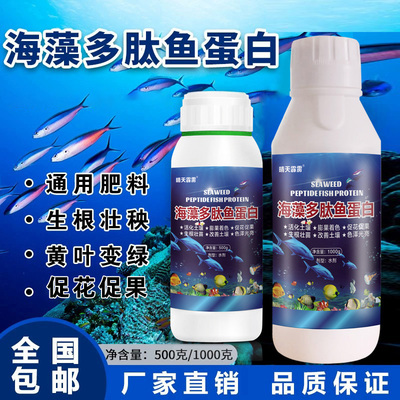 海藻多肽鱼蛋白生根壮花黄