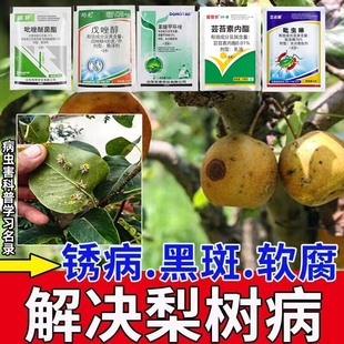 梨树锈病专用药炭疽叶斑梨锈烂果灰斑黄叶褐斑叶斑病羊胡子病梨树