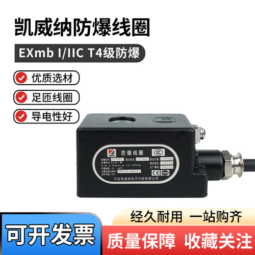 防爆线圈EX1660/EX1661