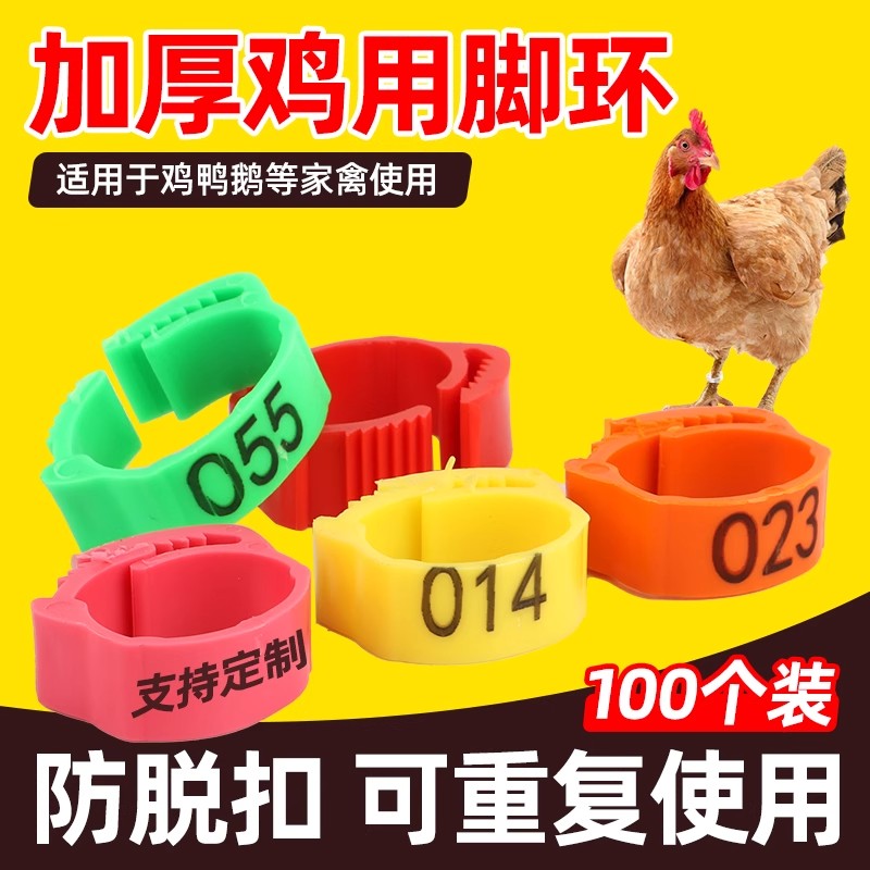 鸡脚环卡扣式鸡用脚环家禽标记用