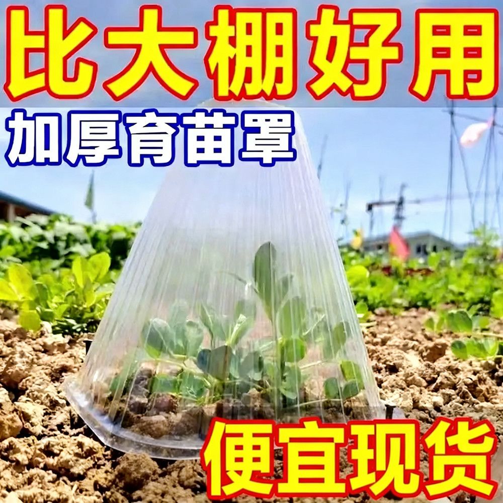 育苗温室加厚透明钟罩防霜防鸟