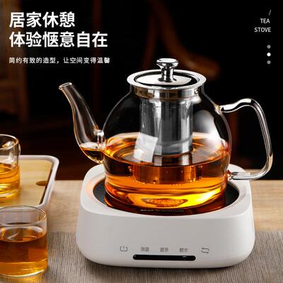 家用电陶炉煮茶玻璃烧水壶耐热加厚泡茶茶具套装养生壶围炉煮茶器
