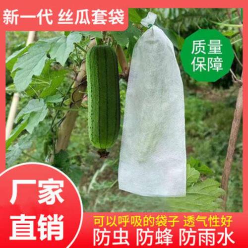 苦瓜防针蜂套袋子包丝瓜套袋防虫鸟网爪专用纸保护装的重复使用罩
