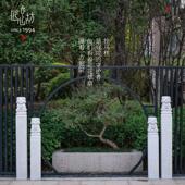 匠心坊中式 露台花园布置拴马柱萌小狮别墅庭院门口装 饰造景摆件