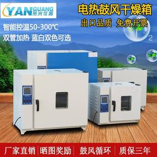 电热恒温鼓风干燥箱烘箱恒温箱烤箱烘干箱实验工业商用烤箱老化箱