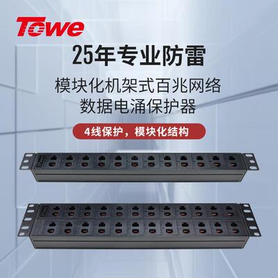 TOWE同为RJ45 100M以太网数据通讯线路电涌保护器4线保护
