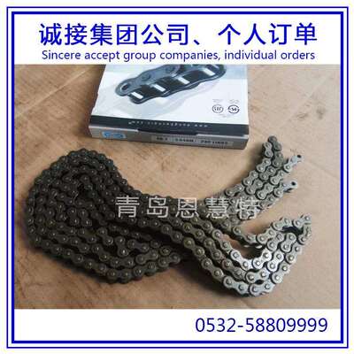 DBC东宝防锈滚子100-1 120-2 140-3板式直板链条工业流水线链条