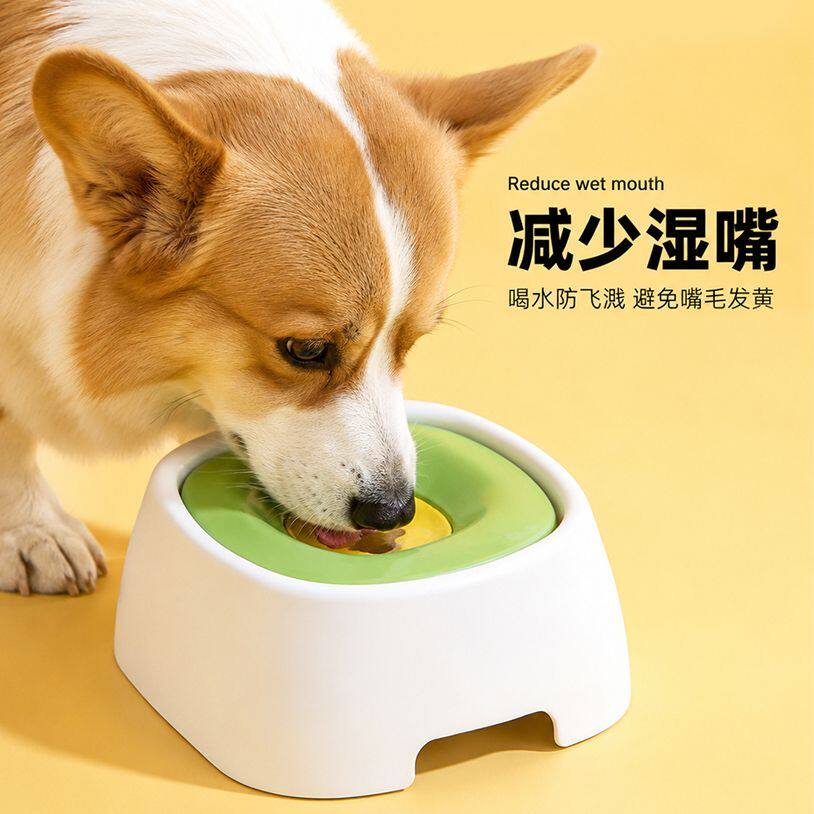 悬浮水碗不湿嘴狗狗猫咪