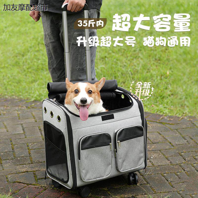 宠物拉杆箱狗狗外出包小