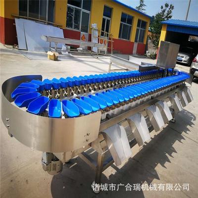 厂家供应料盒重量分选机 土豆猕猴桃分拣机 扇贝小龙虾大小分级机