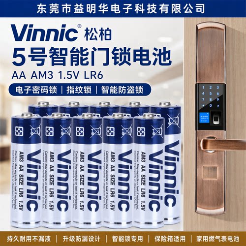 Vinnic松柏5号智能门锁电池AA