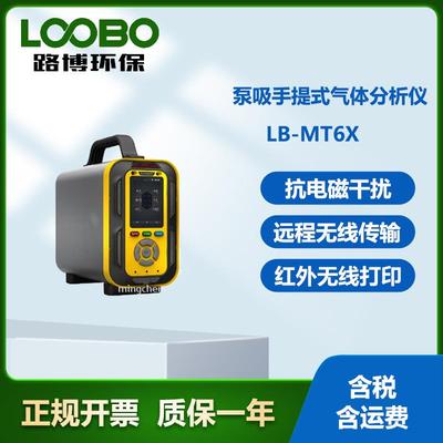 LB-MT6X手提式有毒有害气体检测仪内置泵吸式测量采样大于10米