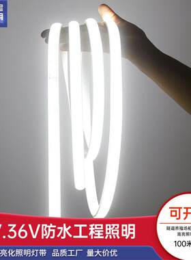 36v灯带led工地双排防水超亮船用隧道地下室工程施工照明24v低压