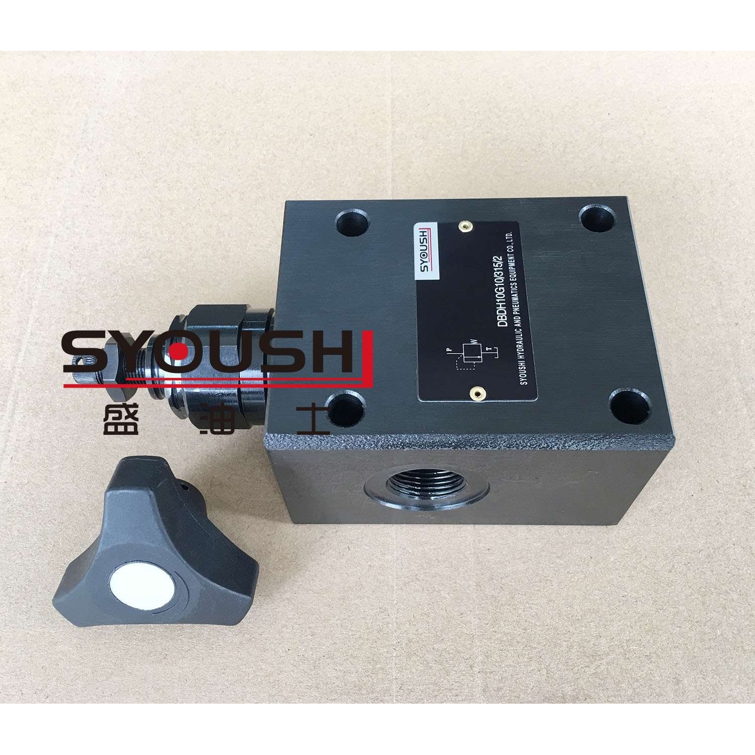 直动式溢流阀DBDH10G10B/200 DBDH10G10/100/2 DBDH10G1X/200/2