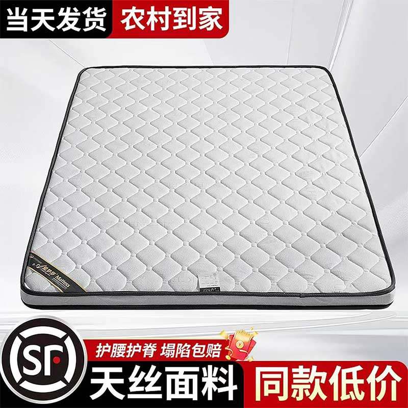 天然椰棕床垫偏硬护脊卧室家用可定制折叠棕垫出租房用榻榻米棕榈