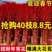 水培带花苞雪桃花红梅腊梅银柳真花鲜枝室内干花植物盆栽客厅摆件