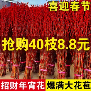 水培带花苞雪桃花红梅腊梅银柳真花鲜枝室内干花植物盆栽客厅摆件