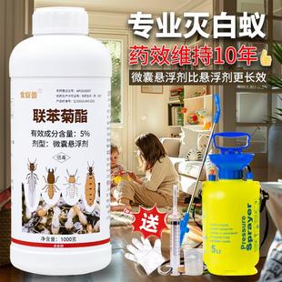 修预防家用药水杀虫剂 长效白蚁防治专用药灭除全飞蚂蚁克星窝端装