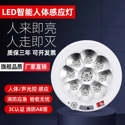 led感应灯楼道吸顶灯声光控楼梯过道车库走廊智能应急人体感应灯