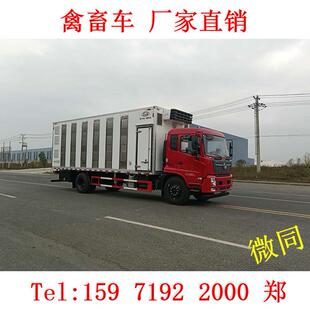 运输活猪雏禽拉猪车格铝合金猪苗保温运输车 天锦猪苗车