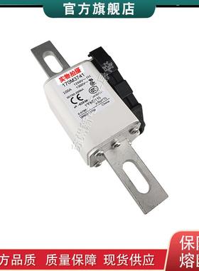 170M3708 3709 3711 3712 3713 巴斯曼bussmann快速熔断器保险丝