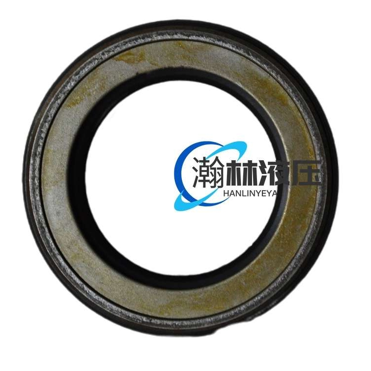 A2FO A2FE A2FM28 32 45 80 90 107 125德国进口骨架油封CFW密封