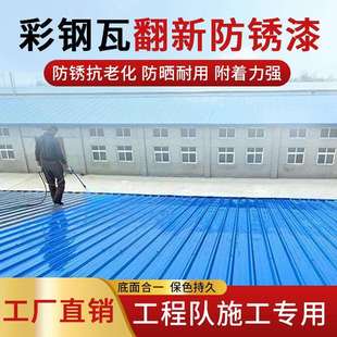 水性彩钢瓦翻新漆厂房钢铁结构固化剂免除锈打磨防腐防锈翻新漆