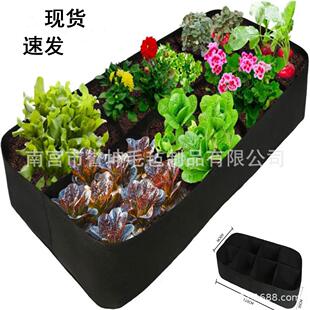 毛毡多格植物袋 园林绿化多口种植 长方形花盆美植袋